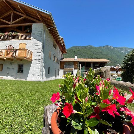 La Lesivera Bed And Breakfast Tione di Trento Exteriör bild